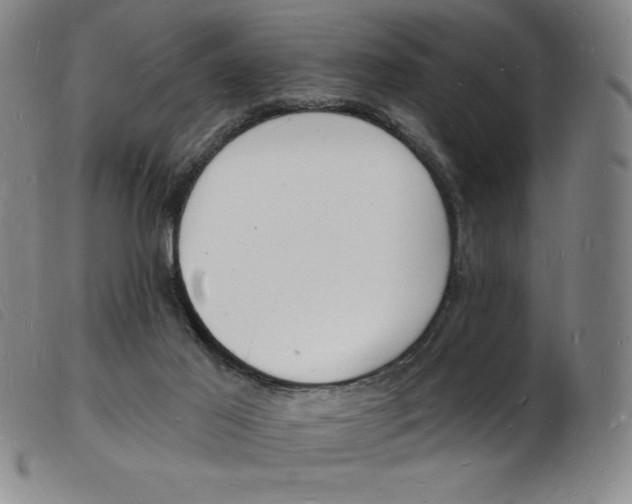 X0000103970021200809191410