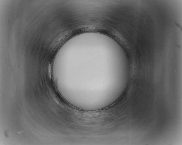 X0000103970022200809191410