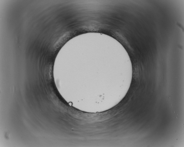 X0000103970023200809191409