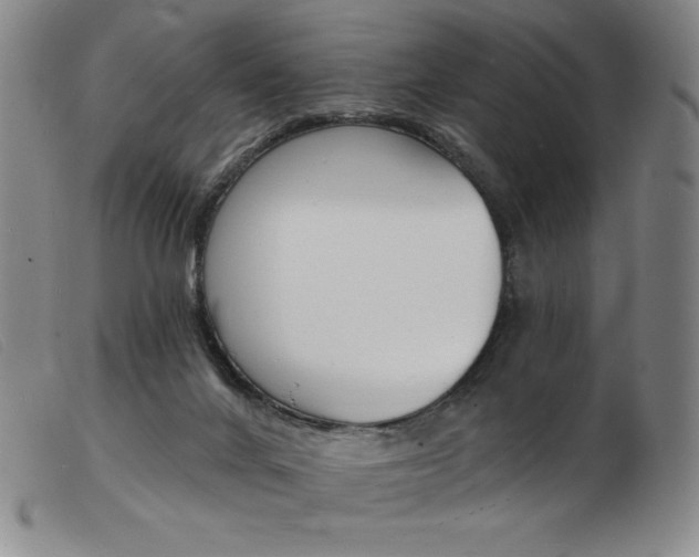 X0000103970024200809191409