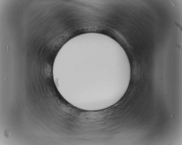 X0000103970025200809191409