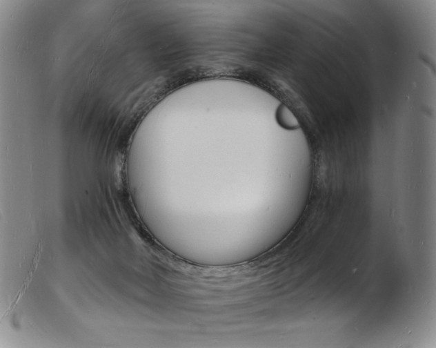 X0000103970026200809191409