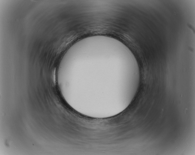 X0000103970028200809191409