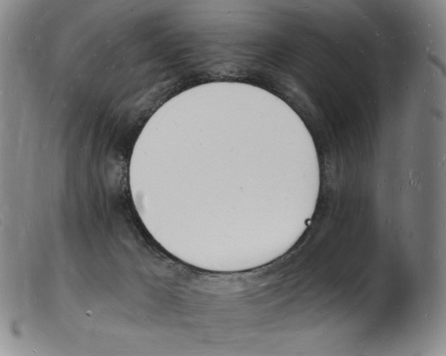 X0000103970029200809191409