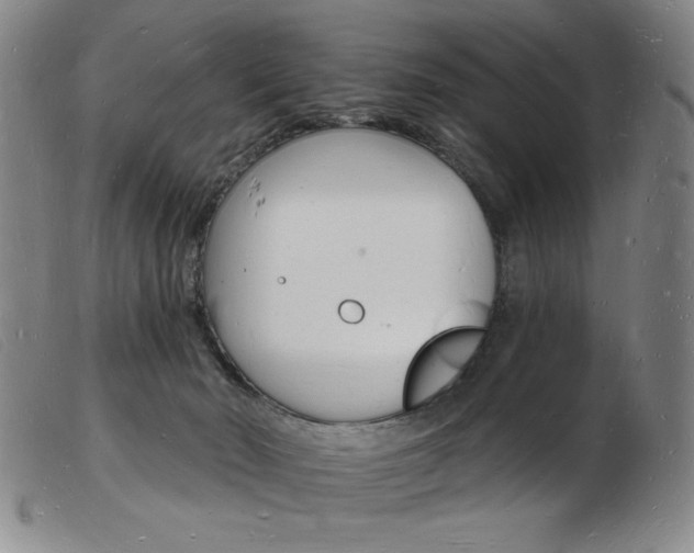 X0000103970030200809191409