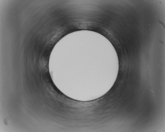 X0000103970031200809191409