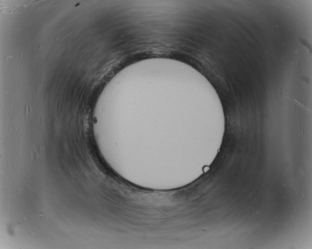 X0000103970032200809191409