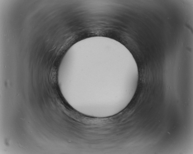 X0000103970036200809191409