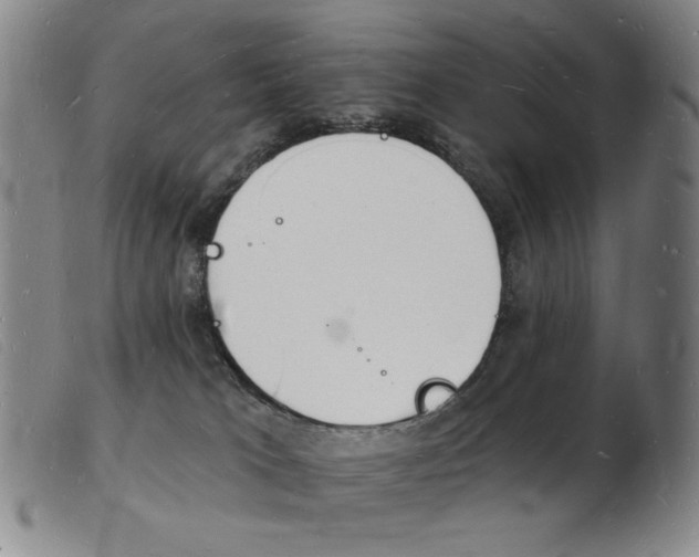 X0000103970037200809191409