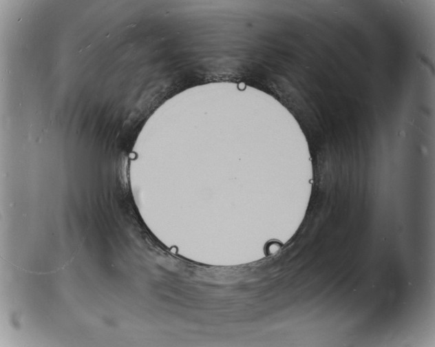 X0000103970041200809191409