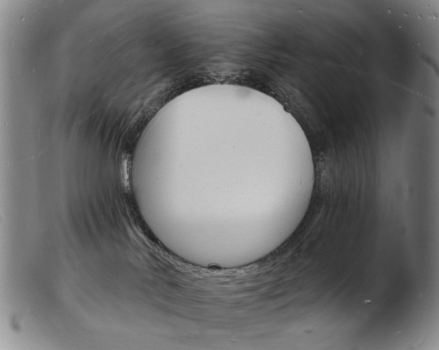 X0000103970042200809191409