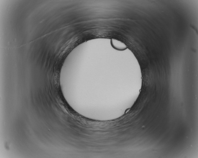 X0000103970044200809191409