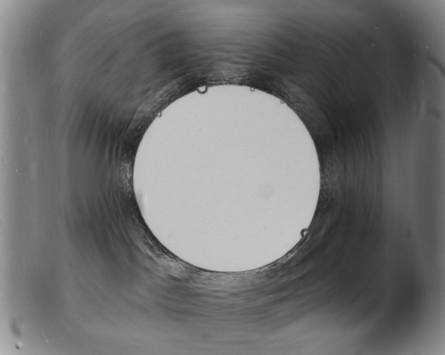 X0000103970045200809191409