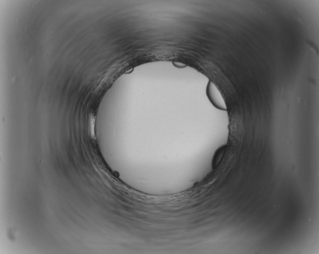 X0000103970046200809191409