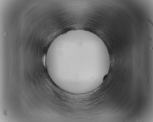 X0000103970047200809191409