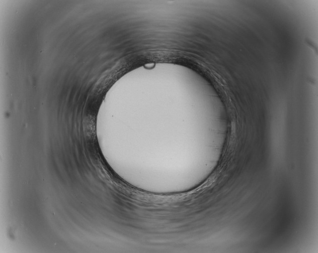 X0000103970048200809191409