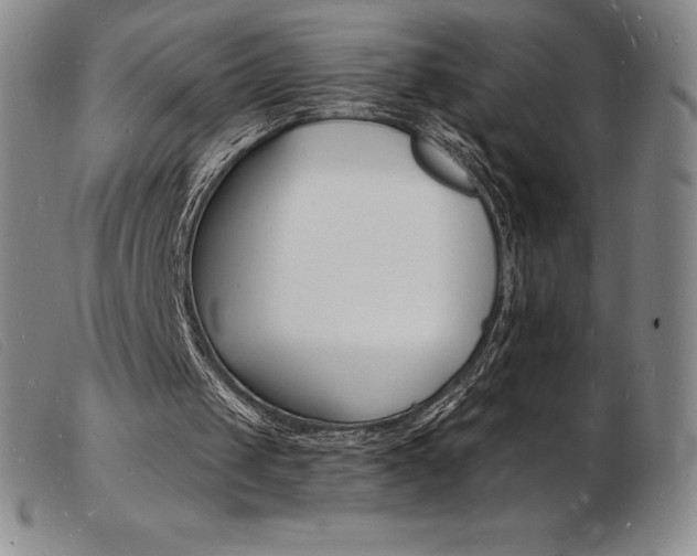 X0000103970049200809191408