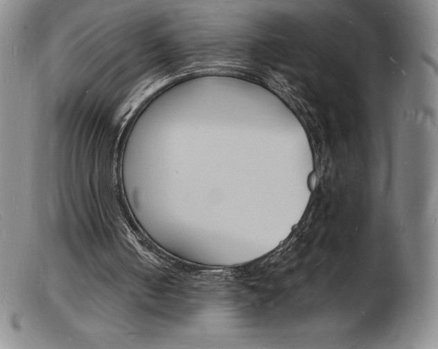 X0000103970050200809191409