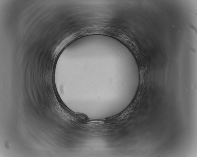 X0000103970051200809191409