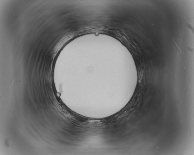 X0000103970052200809191409