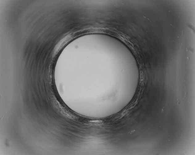 X0000103970053200809191409