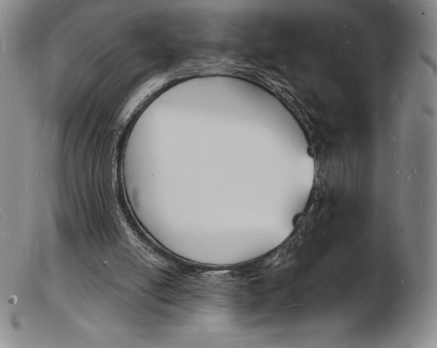 X0000103970054200809191409