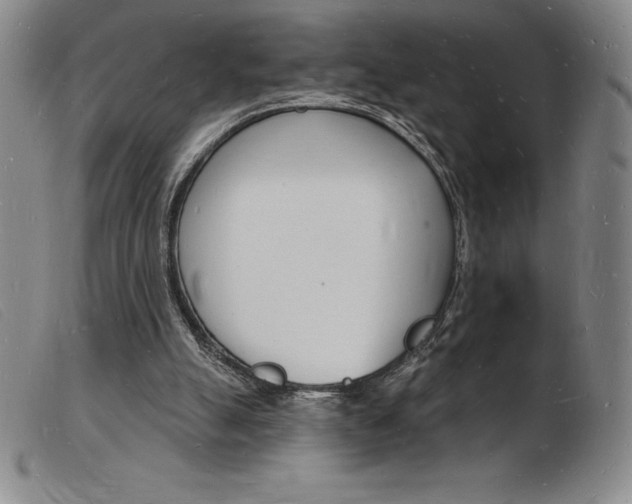 X0000103970055200809191409