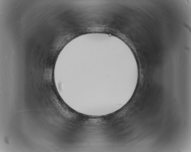 X0000103970057200809191409