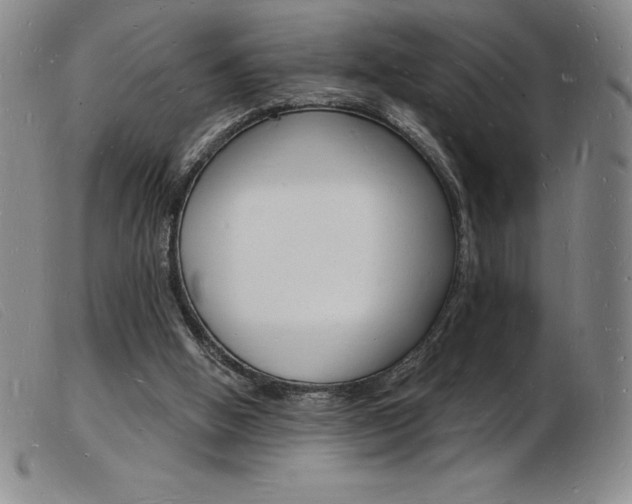 X0000103970058200809191409