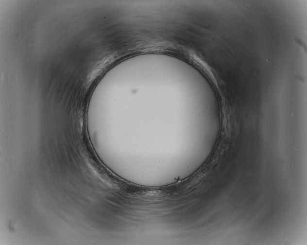 X0000103970059200809191409