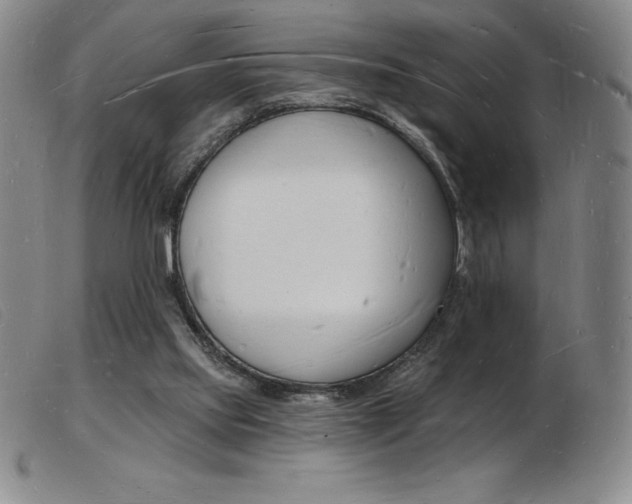 X0000103970061200809191409