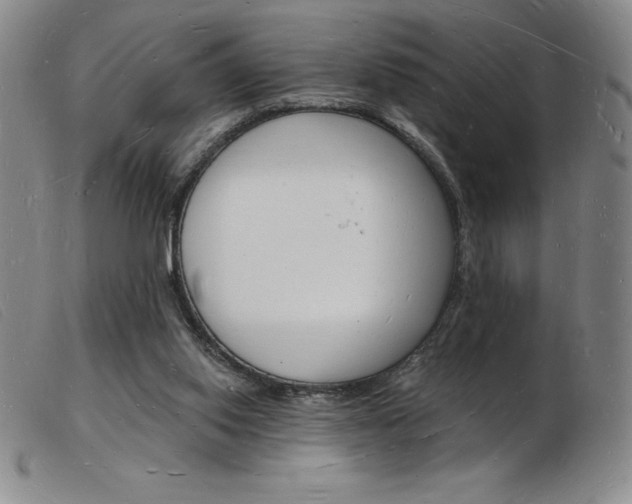 X0000103970062200809191409