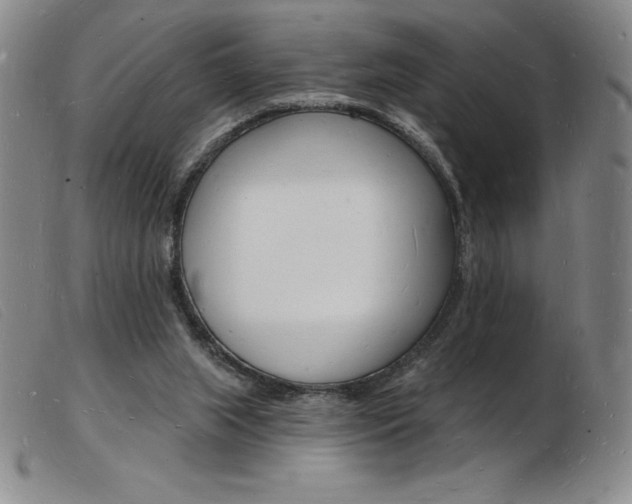 X0000103970063200809191409