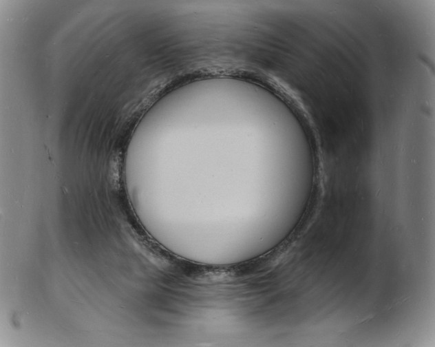 X0000103970065200809191409