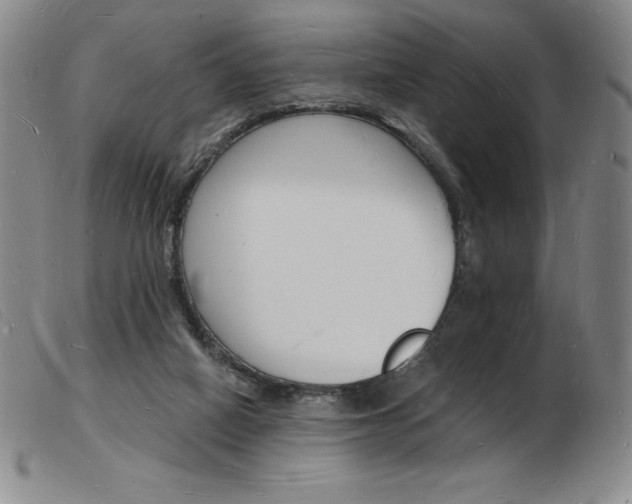 X0000103970066200809191409