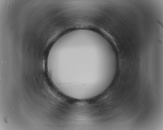 X0000103970067200809191409