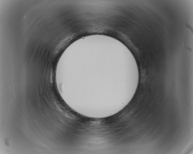 X0000103970068200809191409