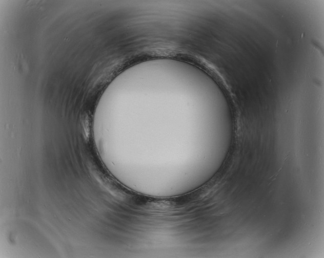 X0000103970069200809191409