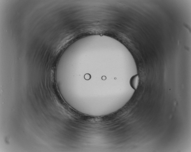 X0000103970071200809191409