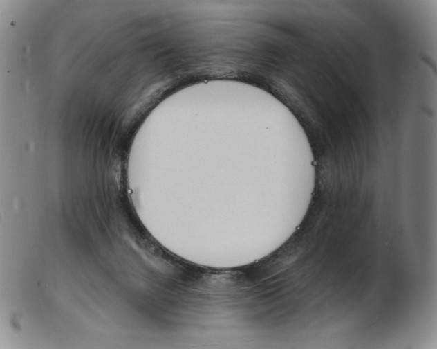 X0000103970072200809191409