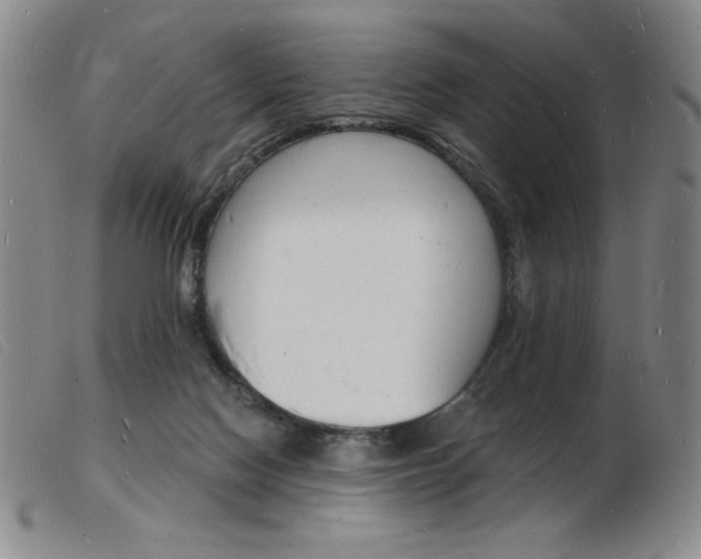 X0000103970074200809191409