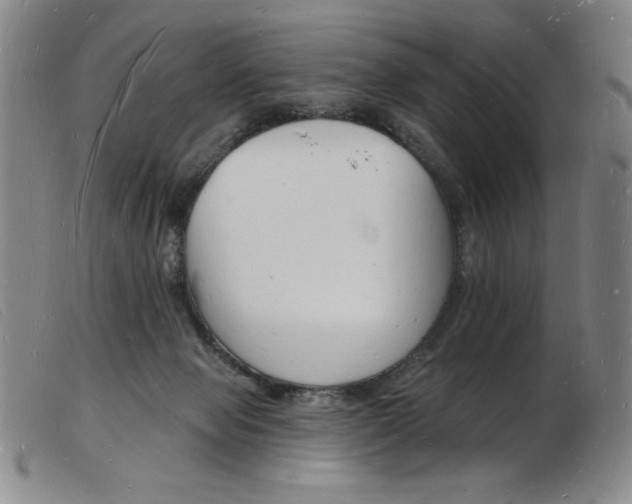 X0000103970077200809191409