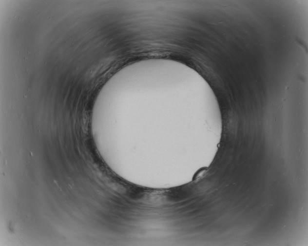 X0000103970078200809191409