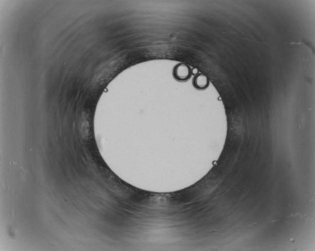 X0000103970080200809191409