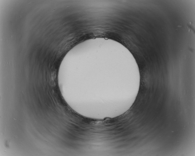 X0000103970082200809191409