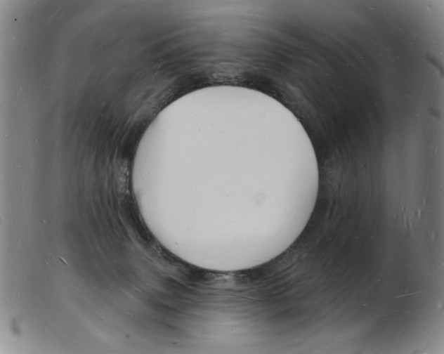 X0000103970083200809191409