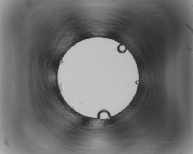 X0000103970084200809191409