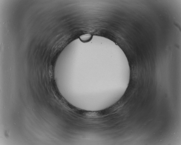 X0000103970085200809191409