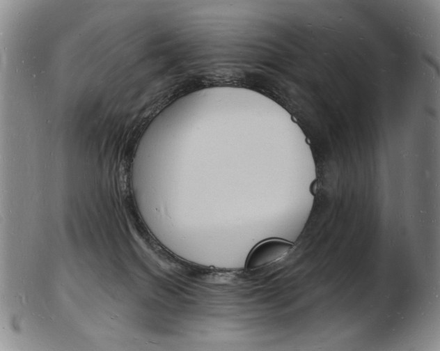 X0000103970086200809191409