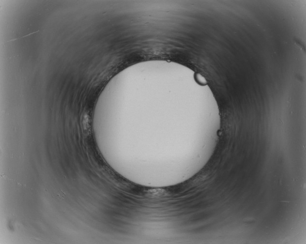 X0000103970087200809191409